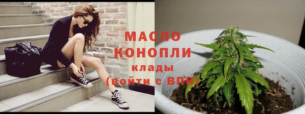 гашик Михайловка
