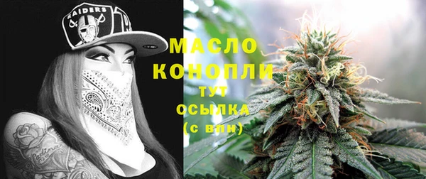 молекула духа Заводоуковск