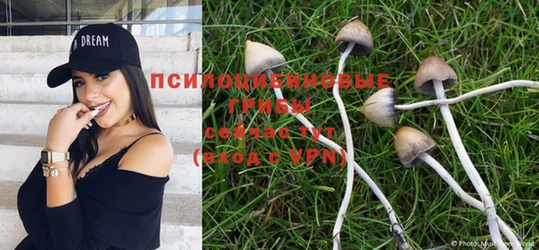 прущая мука Заволжск
